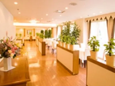 Tokyo Grand Hotel 3*,  Japan
